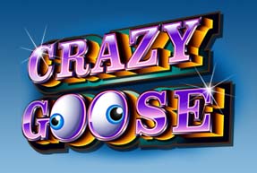 Crazy Goose