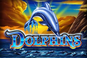 Dolphins