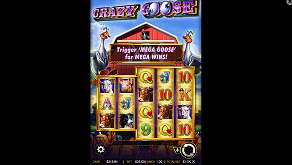 scrCrazy Goose