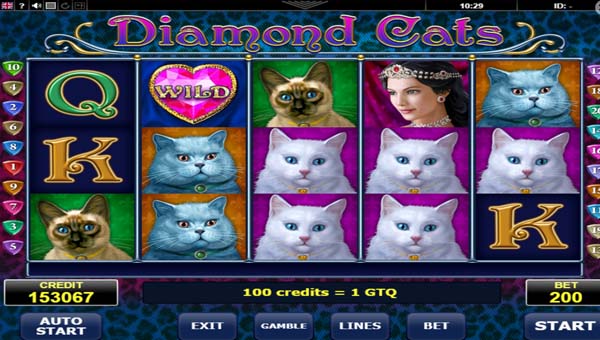 scrDiamond Cats