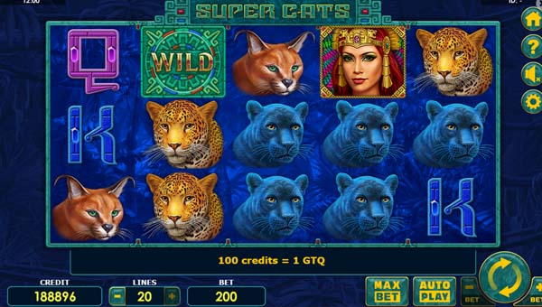 scrSuper Cats