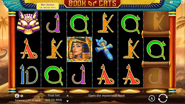 scrBook of Cats