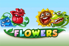 Flowers 96