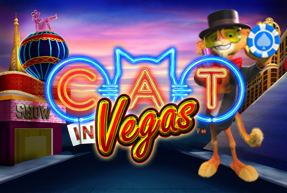 Cat in Vegas