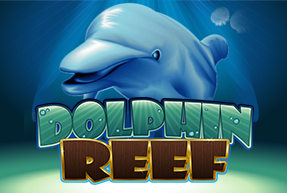 Dolphin Reef