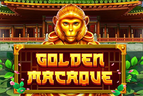 Golden Macaque