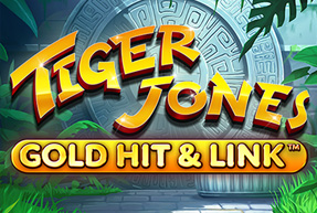 Gold Hit & Link: Tiger Jones™