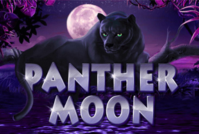 Panther Moon