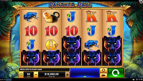 scrPanther Pays™