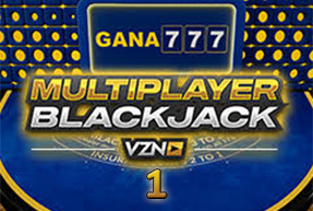 Blackjack VZN 01