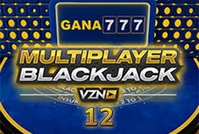 Blackjack VZN 12