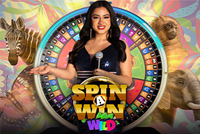 Spin A Win Wild Brasileiro