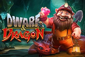 Dwarf & Dragon