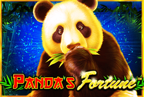 Panda’s Fortune