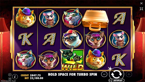 scrThe Catfather Part II