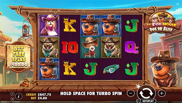 scrThe Dog House – Dog or Alive