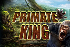 Primate King