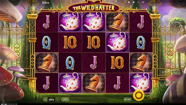 scrThe Wild Hatter