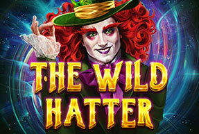 The Wild Hatter