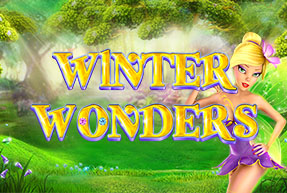Winter Wonders