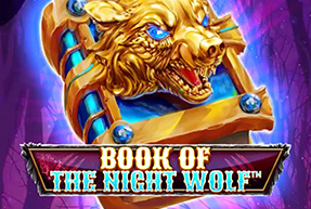 Book Of Night Wolf