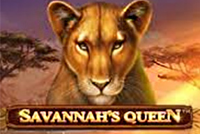 Savannah´s Queen