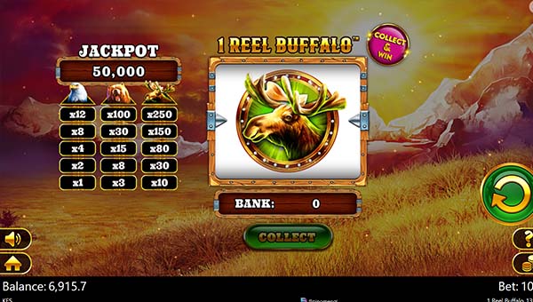 scr1 Reel Buffalo