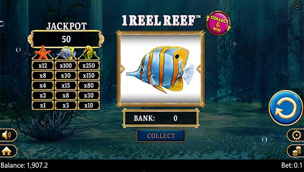 scr1 Reel Reef