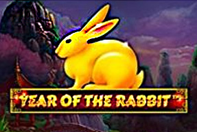 Year Of The Rabbit