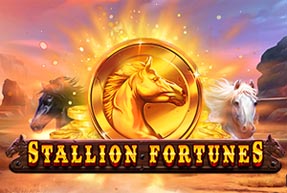 Stallion Fortunes